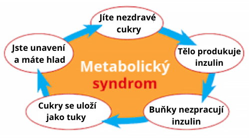 webinar-metabolic syndrome.png