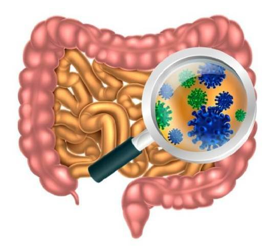 webinar-mikrobiom.jpg
